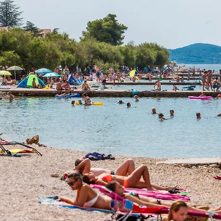 Dalmacija Srima